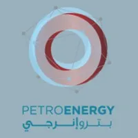 PetroEnergy Services Company