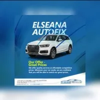 Elseana Autofix Gh