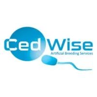 Ced Wise AB Services