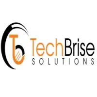 TechBrise Solutions Private Limited