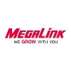 Megalink Inc Megalink Inc
