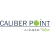 Caliber Point
