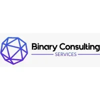 Binary Consulting Services Binary Consulting Services