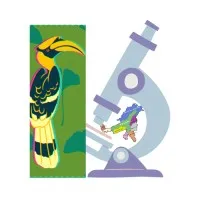 Northeastern Centre for High School Research Northeastern Centre for High School Research