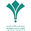 Technology Studies Institute Technology Studies Institute