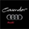 Cavender Audi