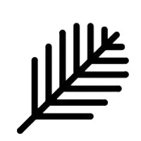 Cedarbrook Marketing