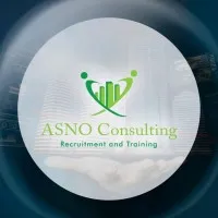 ASNO Consulting