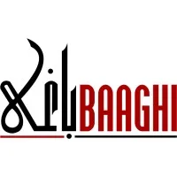 Baaghi TV News