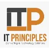 IT Principles IT Principles