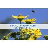 Kendal~Crosslands Communities Kendal~Crosslands Communities