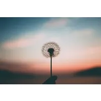 SWFL COUNSELING, LLC