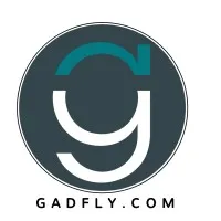 Gadfly Associates, PLLC and Gadfly Ledgers