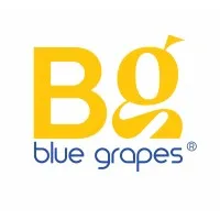 Blue Grapes Marketing