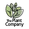 The Plant Company The Plant Company