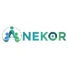 Anekor Pakistan (SMC-Private) Limited Anekor Pakistan (SMC-Private) Limited