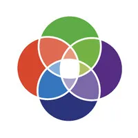 Synergy Asset Services