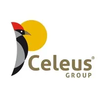 Constructora Celeus Group