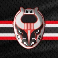 Birmingham Bulls