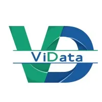 ViData Consultores