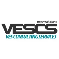 VES Consulting Services, Corp. VES Consulting Services, Corp.