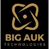 Big Auk Technologies Big Auk Technologies