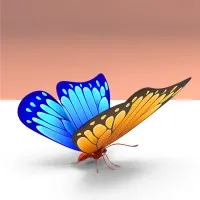 KiXR