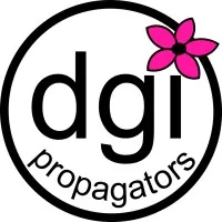 DGI Propagators