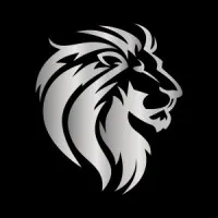 Platinum Lion Realty Inc. Platinum Lion Realty Inc.