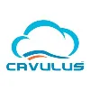 Cavulus Cavulus
