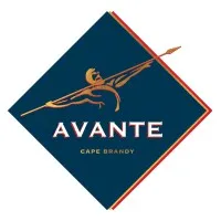 Avante Brandy