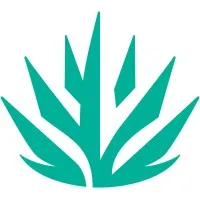 Experience Scottsdale