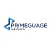 Primeguage Solutions Limited Primeguage Solutions Limited