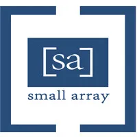 SMALL ARRAY