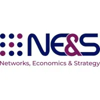 NE&S (Networks, Economics & Strategy)