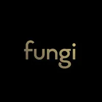 Fungi Agencia Digital Fungi Agencia Digital