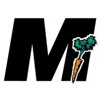 McDowell Incentives, Inc.