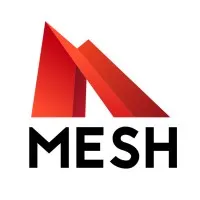 MESH Consultants