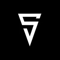 LLC «Protection and Security»