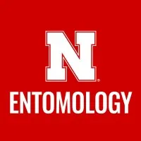 UNL Department of Entomology UNL Department of Entomology