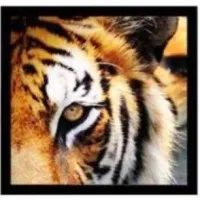 Mortgage Marketing Animals