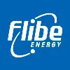 Flibe Energy Flibe Energy