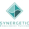 Synergetic Information Systems Synergetic Information Systems