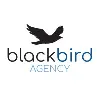Blackbird Agency Blackbird Agency