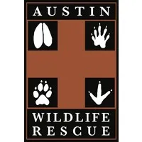 Austin Wildlife Rescue Austin Wildlife Rescue