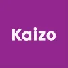 Kaizo