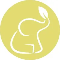 Healing Elephant Acupuncture Clinic Healing Elephant Acupuncture Clinic