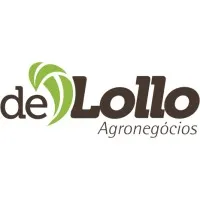 De Lollo De Lollo