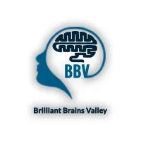 Brilliant Brains Valley