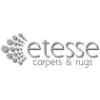 Etesse Private Limited